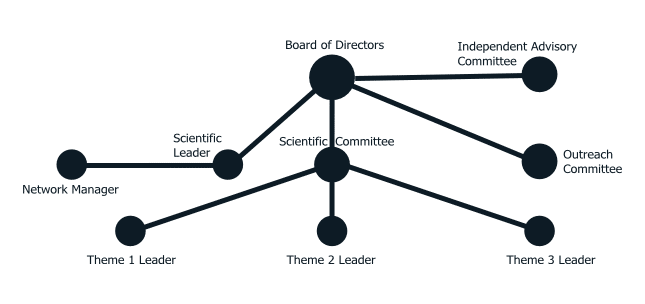 NSMG-Net Governance Structure
